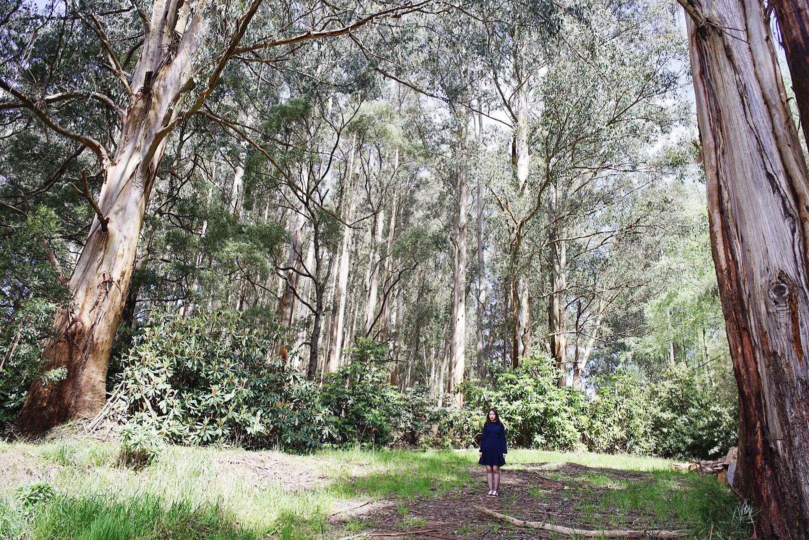  photo 11_zpslhopqkgf.jpg