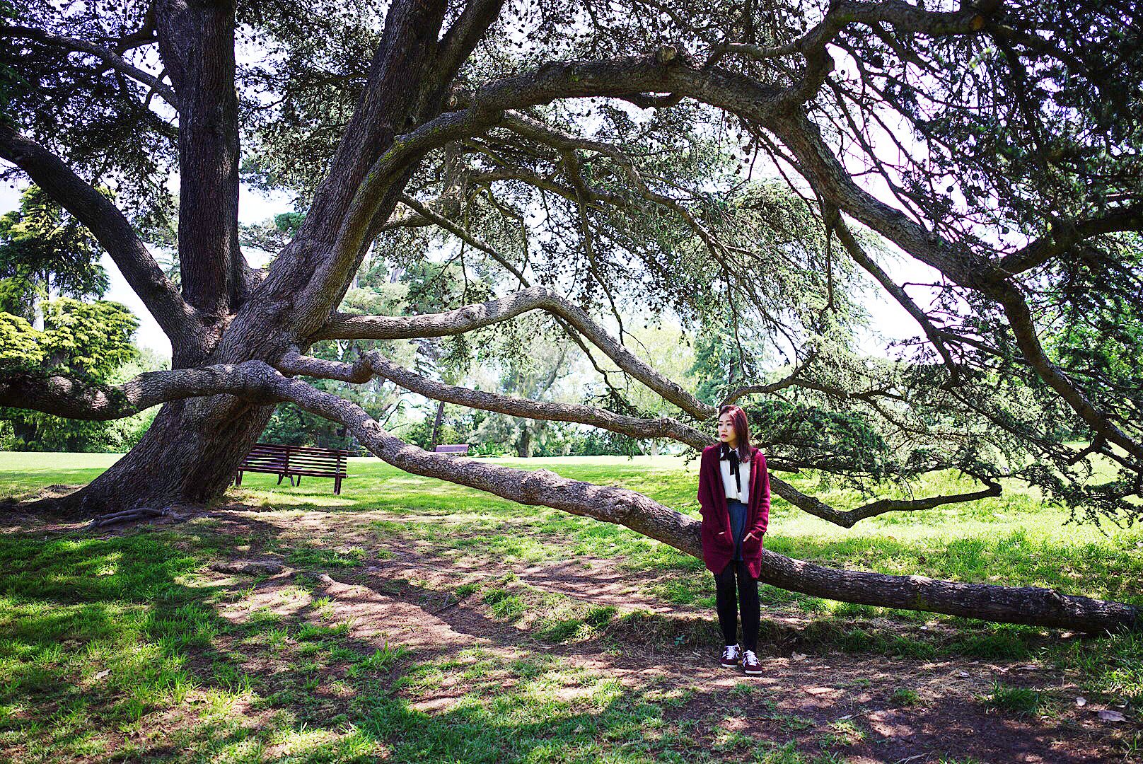  photo 23_zpsvkku1far.jpg