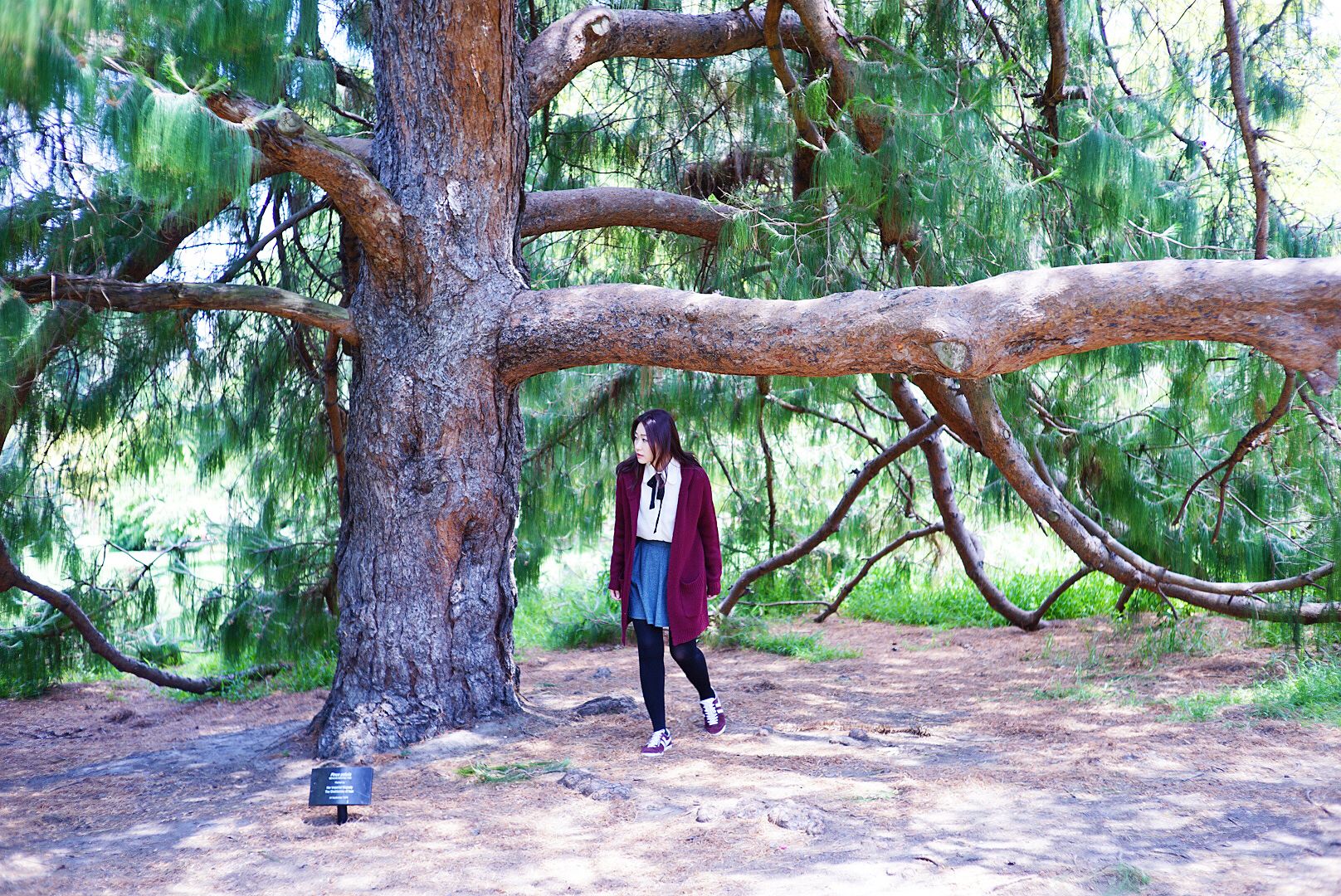  photo 24_zpsrtnj0kyv.jpg