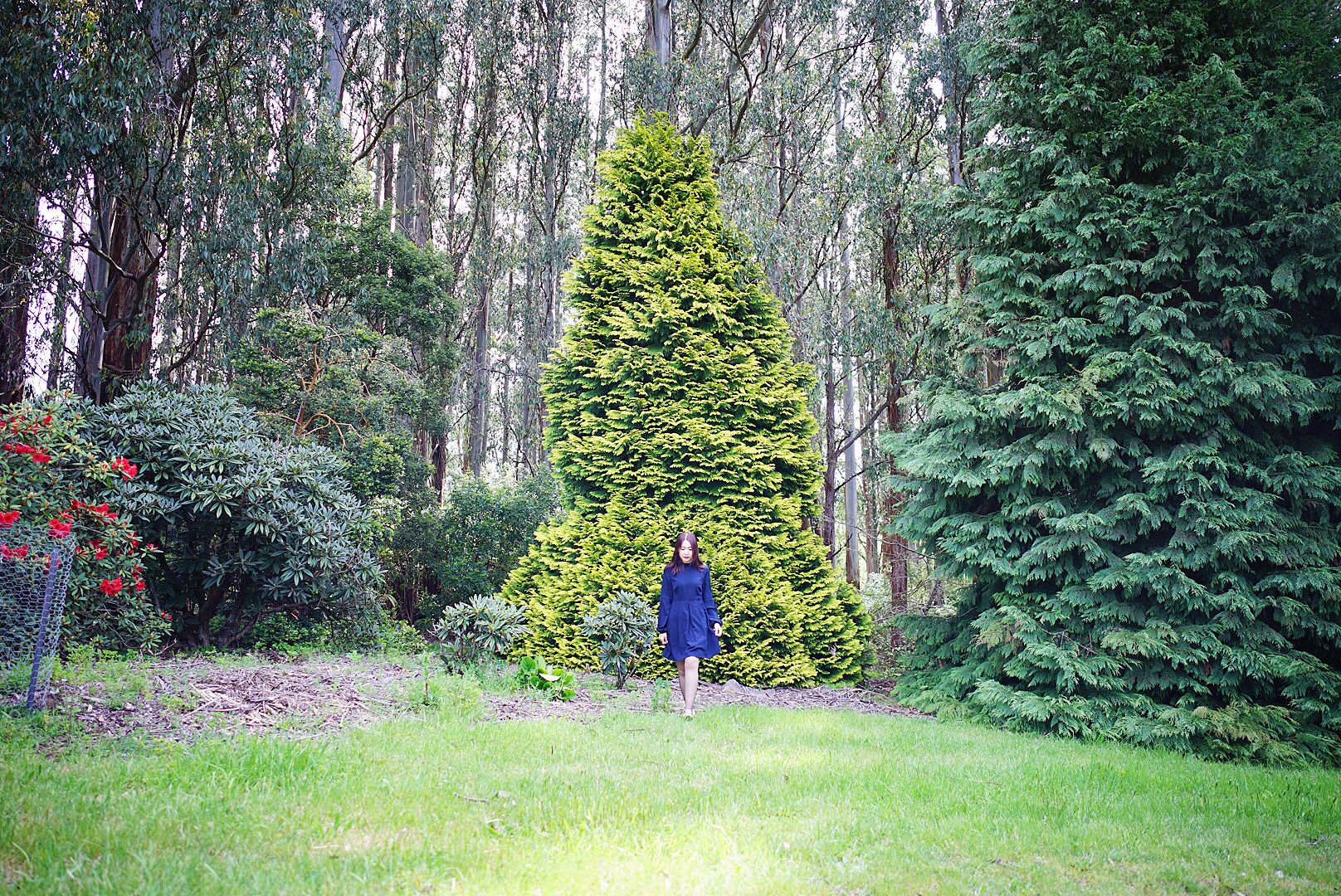  photo 9_zpsxh7nf5t6.jpg