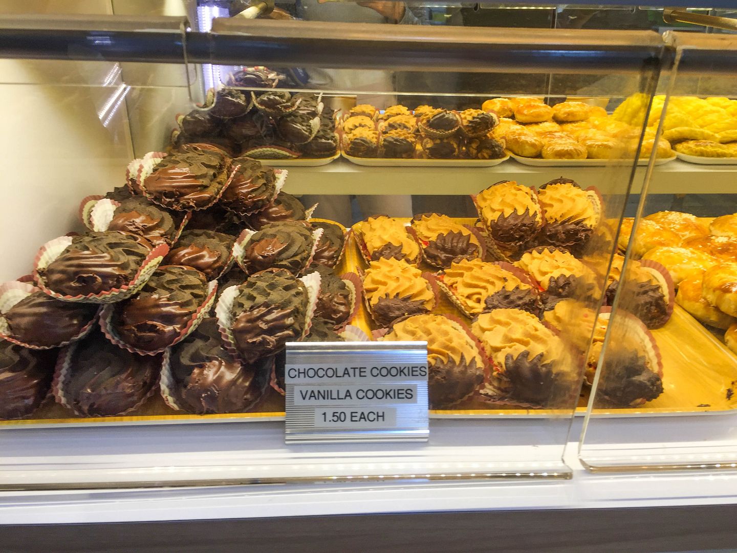 photo IMG_5590_zps6dkstzim.jpg