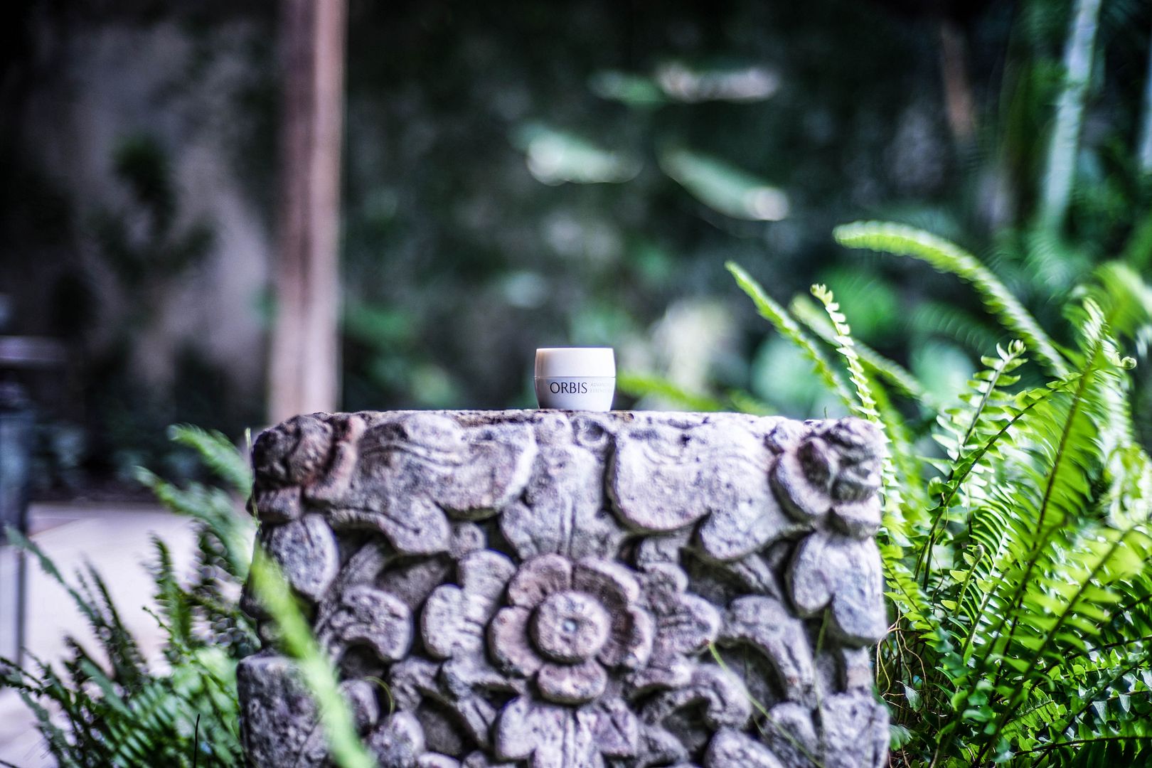 photo DSC09479_zpsaontmnjq.jpg