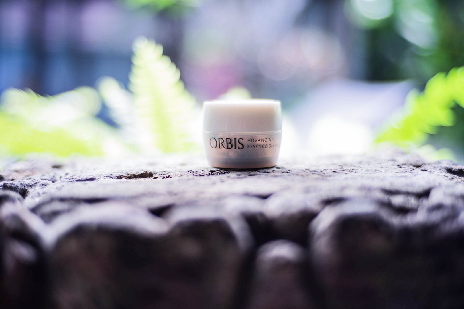 photo DSC09483_zpsiwdrkxsd.jpg