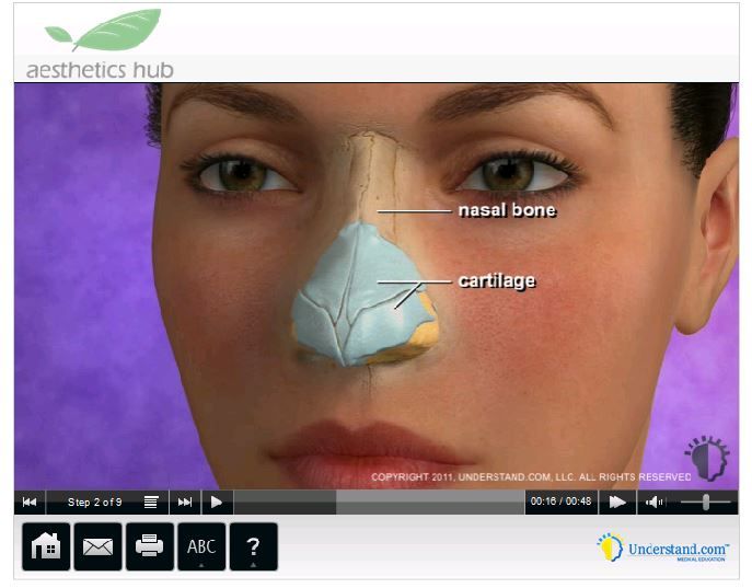 a3 photo rhino2_zps31f49de7.jpg