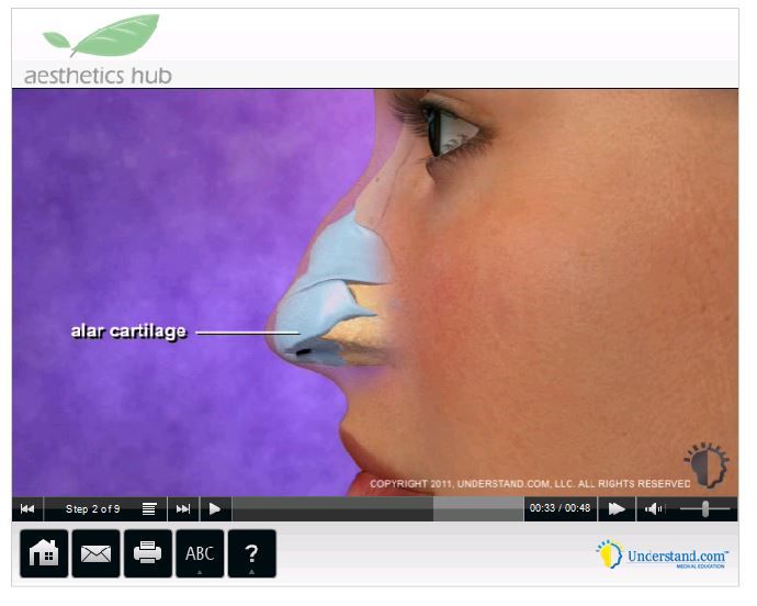 a4 photo rhino3_zpsd50eb0af.jpg