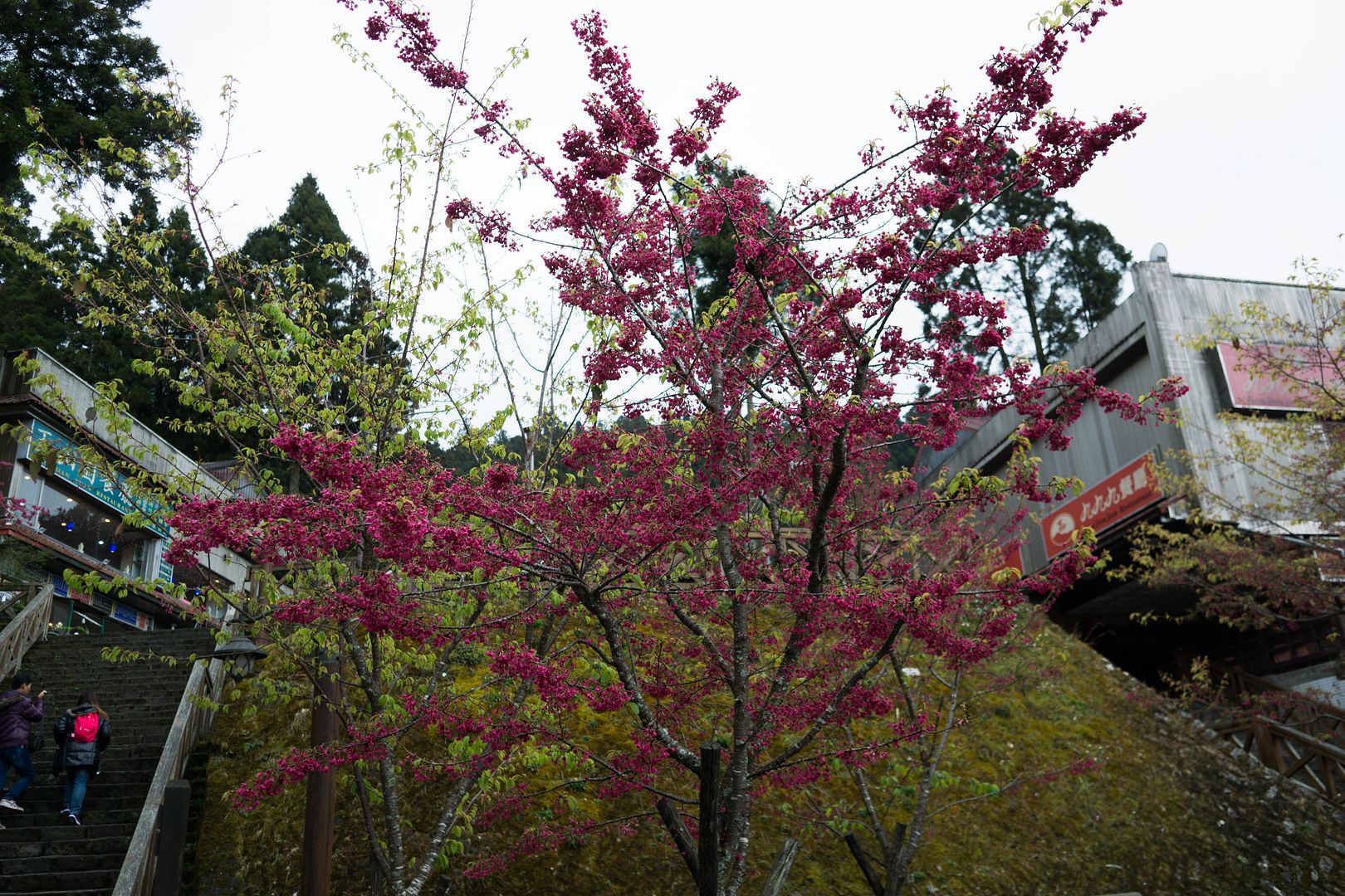 photo 33_zpsbsewpcbl.jpg