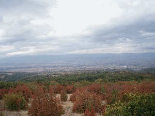 dojkinci1.gif