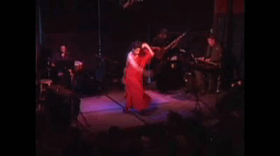 flamingo1.gif