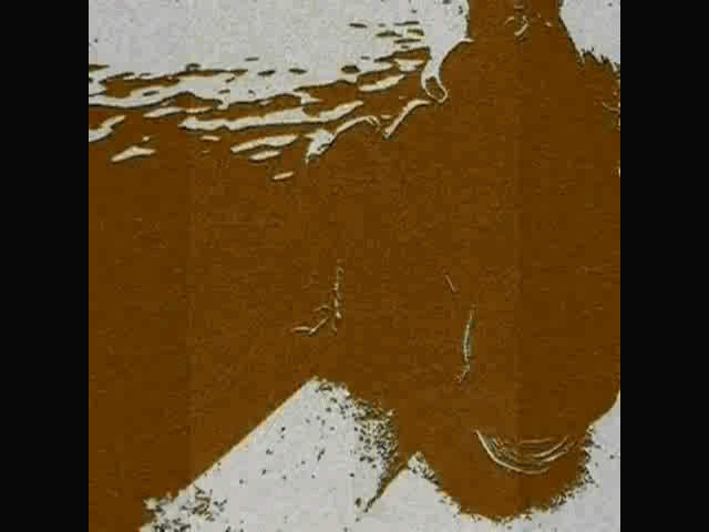 omladosti444.gif