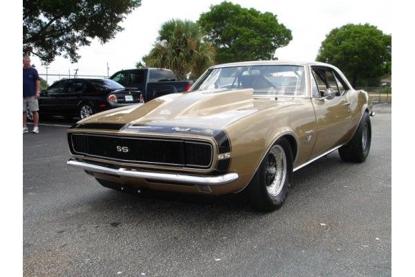 photo cma43-600x400_zpsxhh9b0jd.jpg