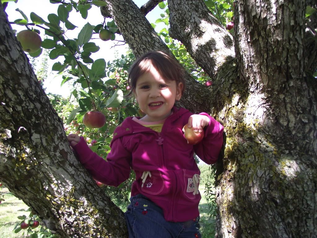 http://i1211.photobucket.com/albums/cc429/eriu1/DSCF1154.jpg