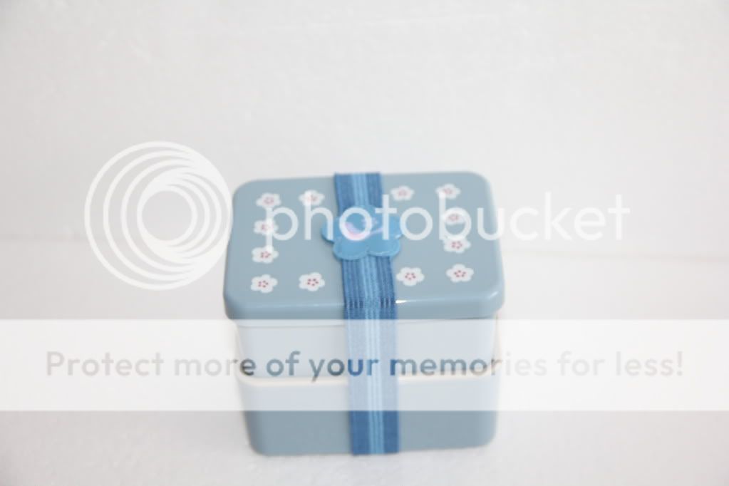 Honoka Bird Blue 2 Tier Square Bento Box Strap 610ml  