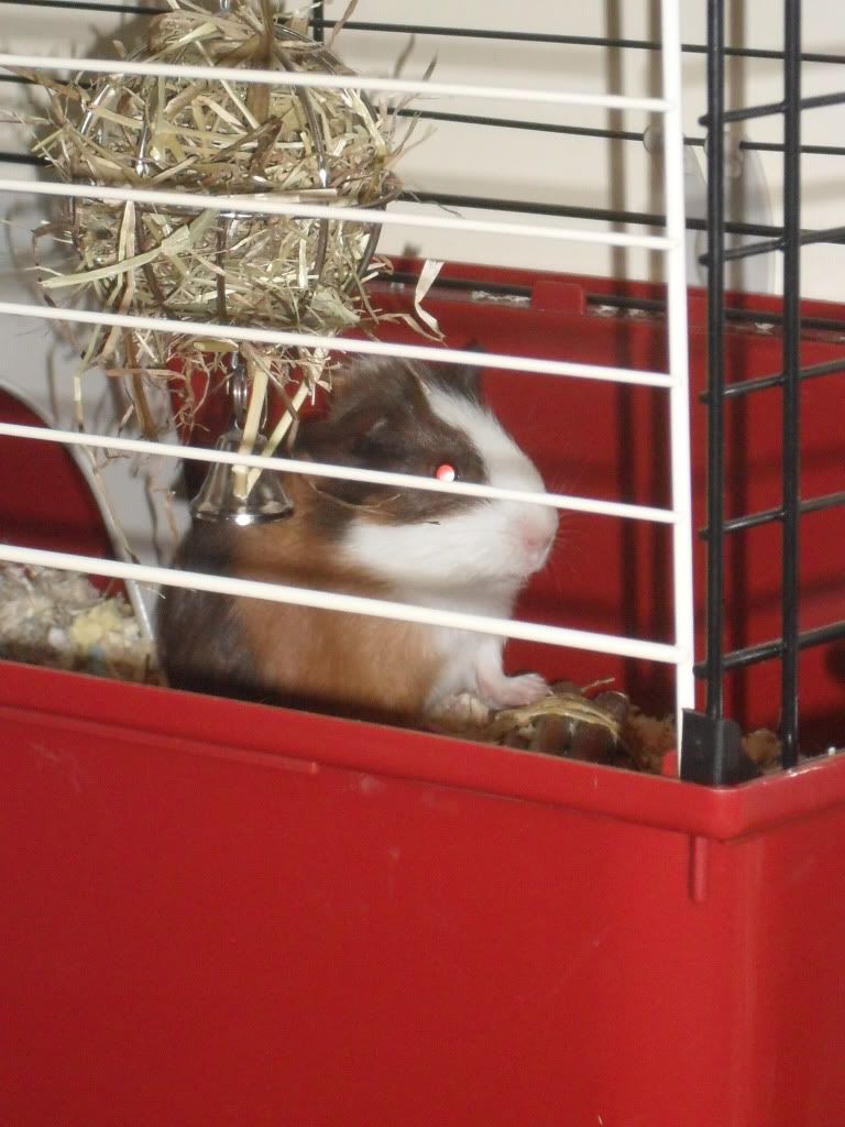 SAM_0676.jpg