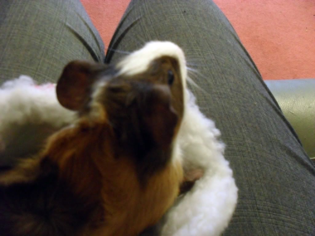 SAM_0714.jpg