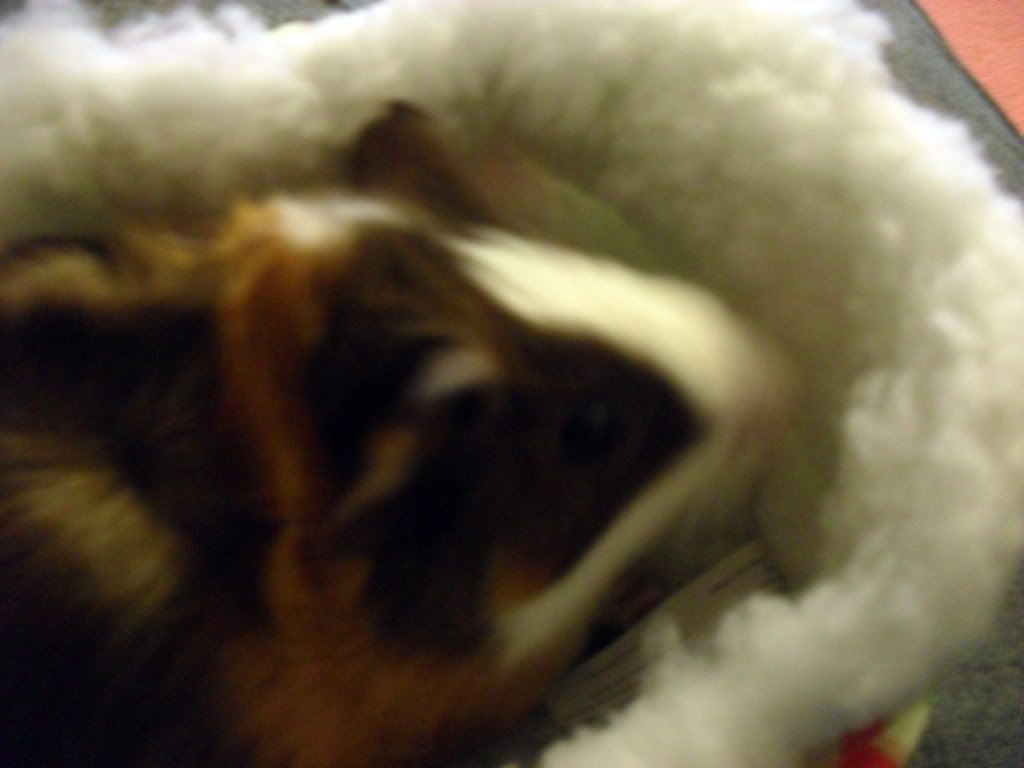 SAM_0722.jpg