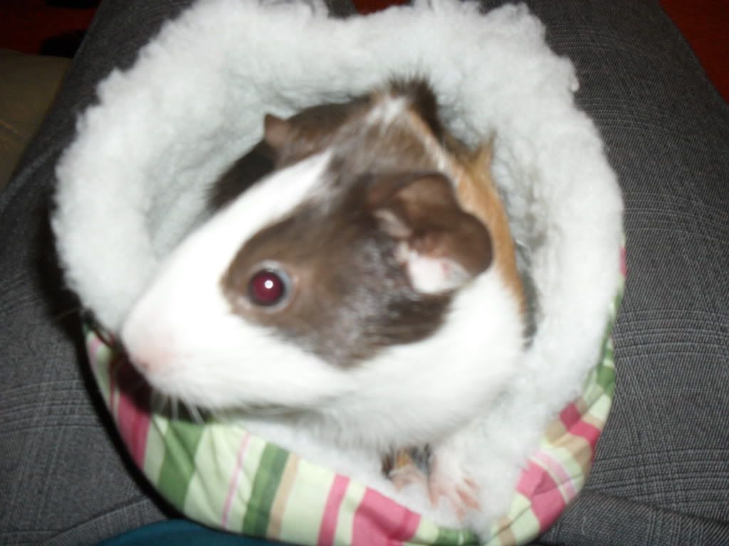 SAM_0723.jpg