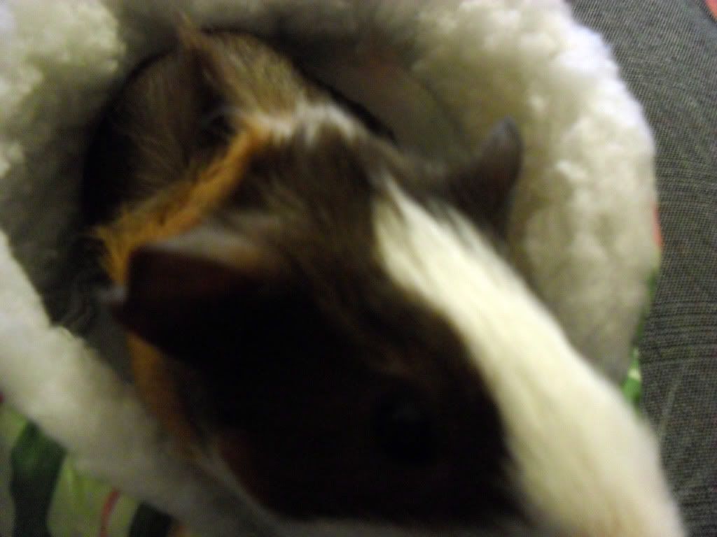 SAM_0725.jpg