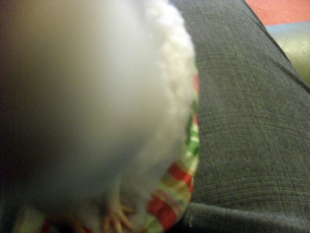 SAM_0726.jpg