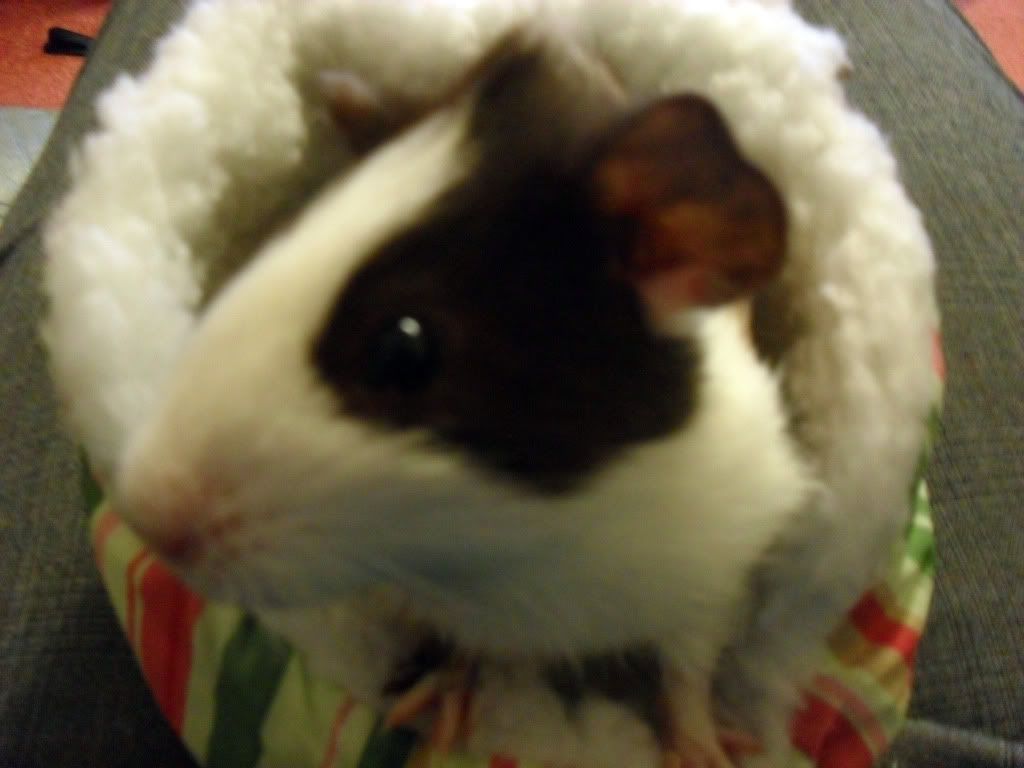SAM_0728.jpg