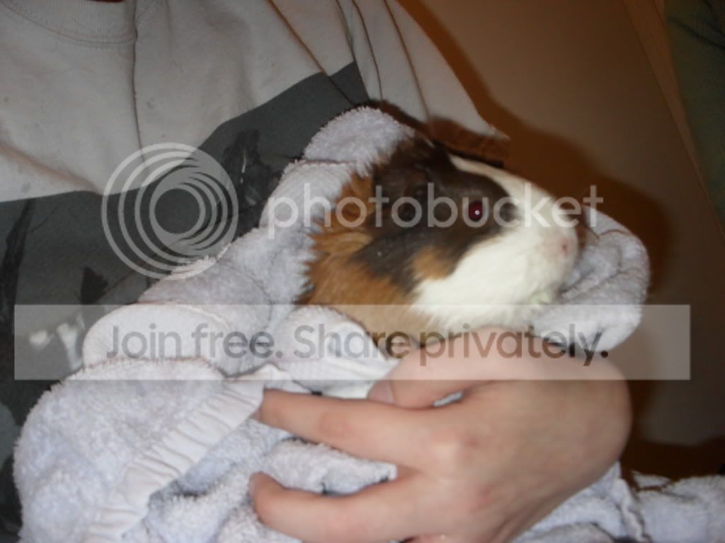 SAM_1070.jpg